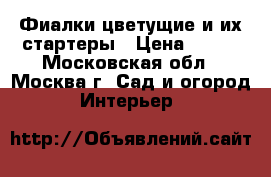 Фиалки цветущие и их стартеры › Цена ­ 200 - Московская обл., Москва г. Сад и огород » Интерьер   